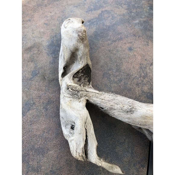 Natural Driftwood for Plants Terrarium Taxidermy Art Projects - Picture 4 of 8